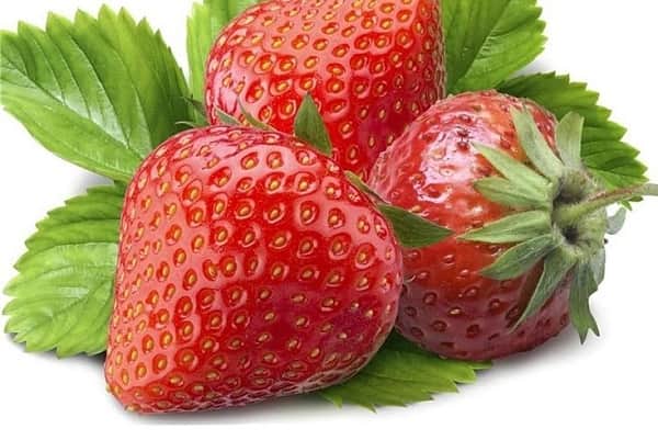 خواص توت فرنگی تازه و خشک برای درمان انواع بیماری های پوستی و دیابت