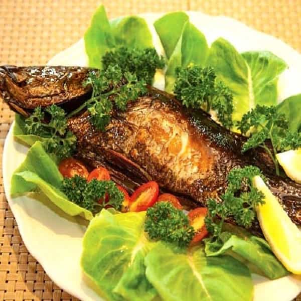 طرز تهیه ماهی با گوجه
خوشمزه ترین سس برای ماهی
سس کنار ماهی سرخ شده
سس ماهی جنوبی
ماهی با گوجه ضرر دارد
