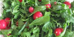 نگهداری سبزی خوردن به مدت طولانی در فریزر و یخچال