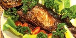 طرز تهیه ماهی با سس گوجه و آبلیمو و پیاز دوقوس بوشهری ساده و سریع